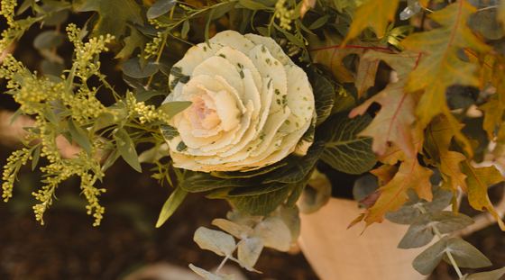 Detalle floral de ATEMP con hojas de otoño